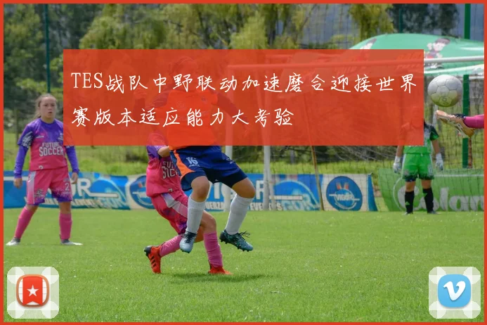 TES战队中野联动加速磨合迎接世界赛版本适应能力大考验